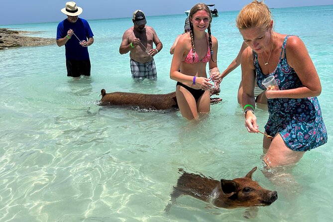 007 Private Beach Club -Swimming Pigs, Snorkeling, Lunch, Drinks - Four things to know before you book