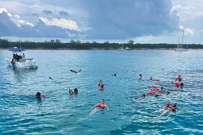 007 Private Beach Club -Swimming Pigs, Snorkeling, Lunch, Drinks - How to prepare for a better day