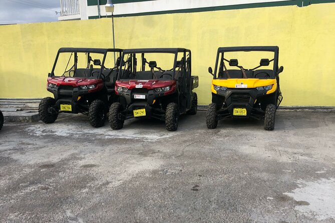 3-Hour Buggy Tour of New Providence (Inclusive of water & local deserts) - Why a buggy is a smart way to see New Providence