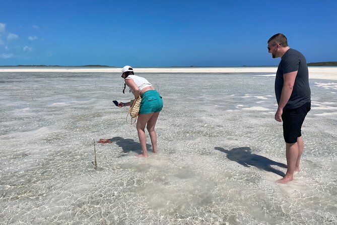 3 Hours Guided Great Exuma ATV Tour - Why an ATV makes sense on Great Exuma