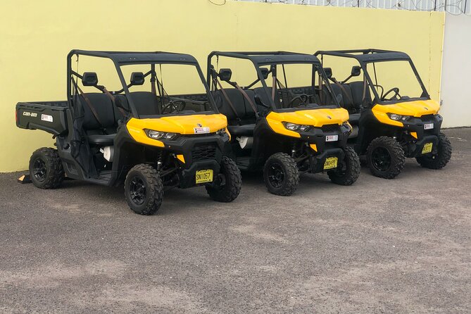 4-Hour Buggy Tour of New Providence (Inclusive of water & local deserts) - Key things to know before you book