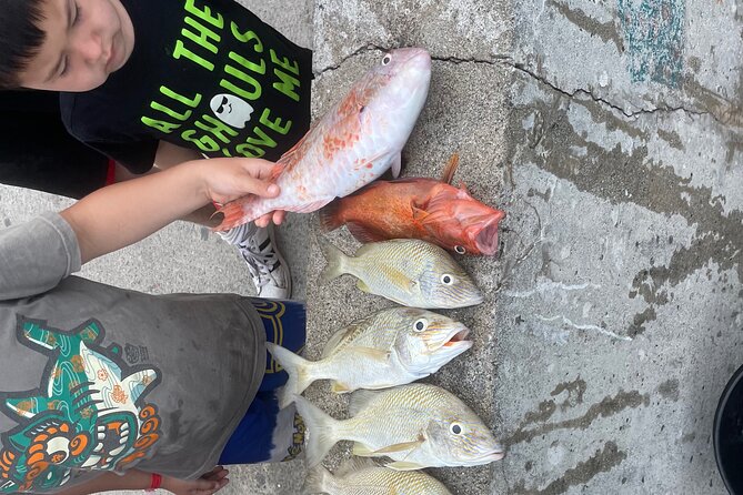 4-Hour Fishing Charter in Nassau - Key points at a glance