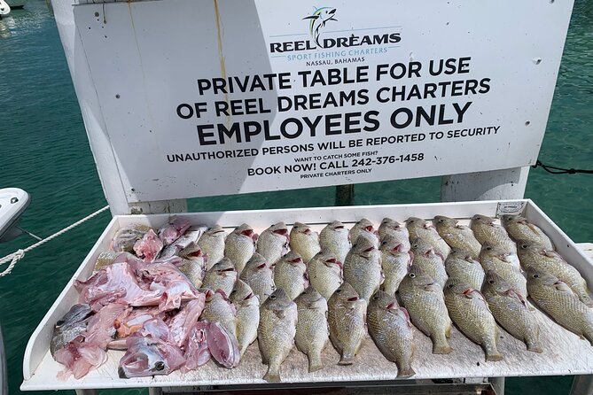 4 hours 34ft Day Dream Private Charter in Nassau - Fishing with Captain Justin and the Reel Dreams crew
