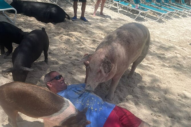 4hr Private Tour Island Hop Snorkel w/ Turtles & Sip Bahama Mamas - Green Cay and the hour with turtles