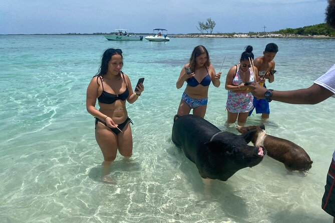 4hr Private Tour Island Hop Snorkel w/ Turtles & Sip Bahama Mamas - What $1,200 means for your group
