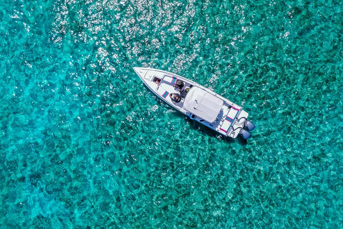 5 Hours Pigs and Turtles with Beach Stop in Bahamas - Key details before you book