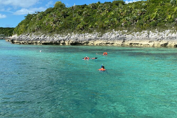 5 Hours Pigs and Turtles with Beach Stop in Bahamas - Why this five-hour Bahamas trip works