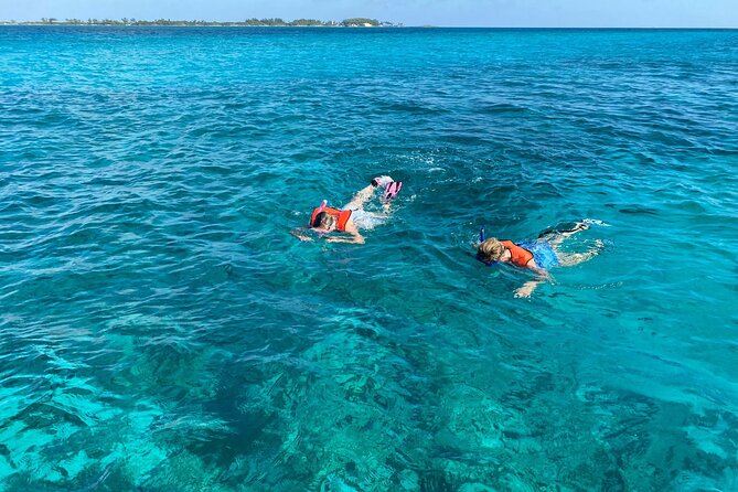 5 Hours Pigs and Turtles with Beach Stop in Bahamas - Atholl Island and the 45-minute pig stop