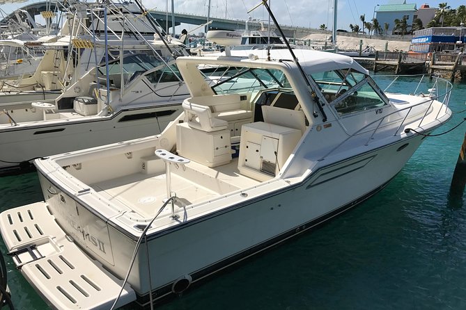 8 hours 38ft Reel Dreams Private Charter Nassau - Choosing between deep-sea fishing and light tackle