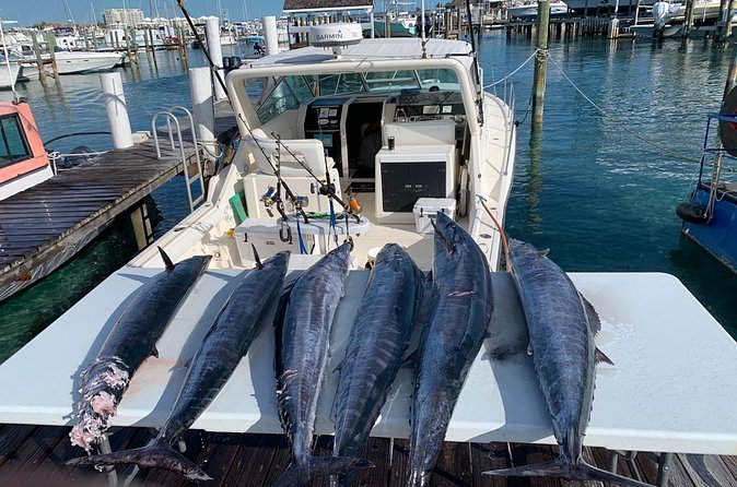 8 hours 38ft Reel Dreams Private Charter Nassau - Who will enjoy this charter most?
