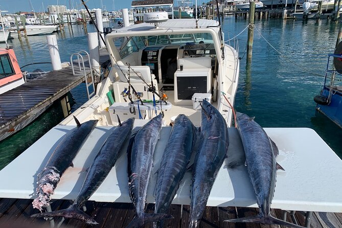 8 hours 38ft Reel Dreams Private Charter Nassau - Practical booking advice for a smoother day