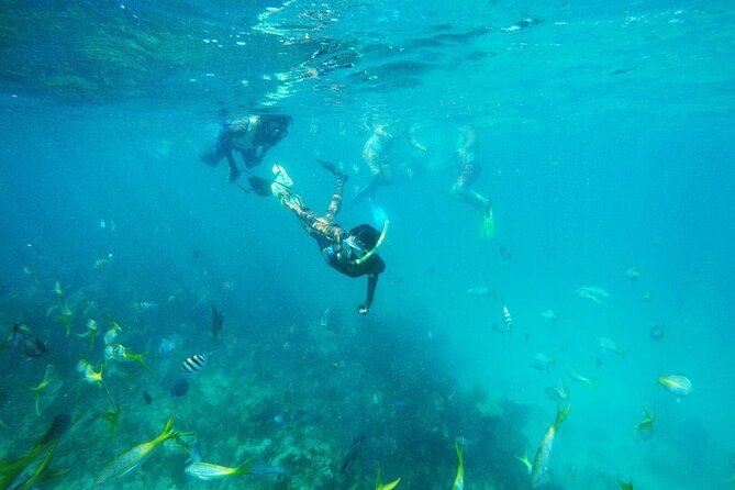 All Inclusive Half Day Sail and Snorkel - Key points to know before booking