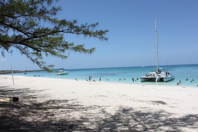 All Inclusive Half Day Sail and Snorkel - Snorkeling for beginners and confident swimmers
