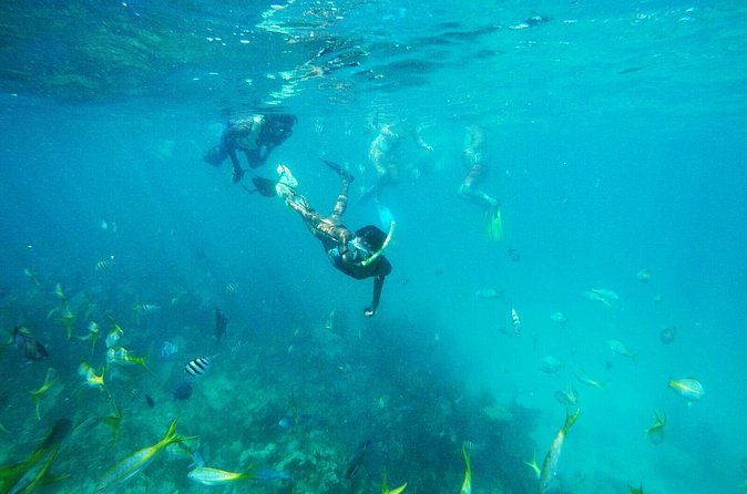 All Inclusive Half Day Sail and Snorkel - Sailing home with the bar open