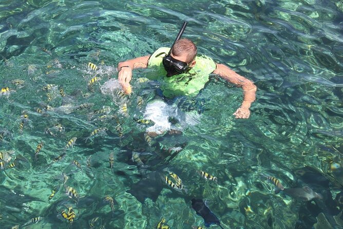 All Inclusive Half Day Sail and Snorkel - What the 3.5-hour sailing time feels like