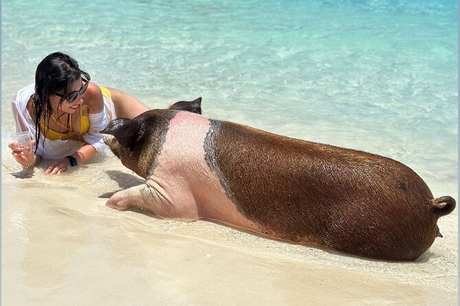 All Inclusive Pig Encounter, Snorkeling, Turtles, Lunch & Beach - 007 Beach Club on Rose Island