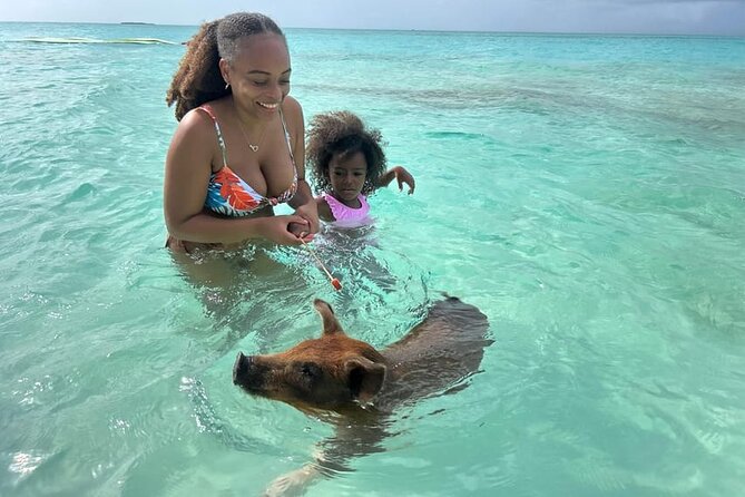 All Inclusive Pig Encounter, Snorkeling, Turtles, Lunch & Beach - Is $149 a fair price?