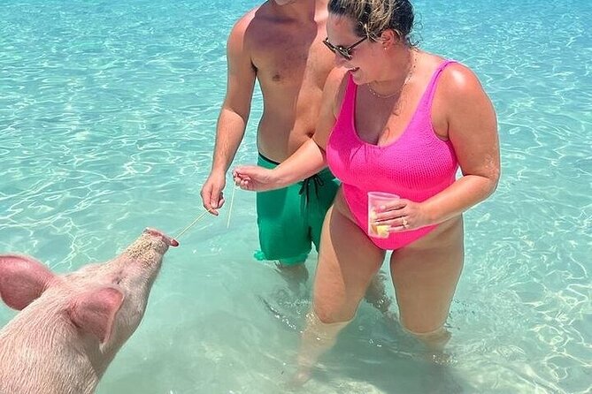 All Inclusive Pig Encounter, Snorkeling, Turtles, Lunch & Beach - Who will enjoy this Nassau excursion?
