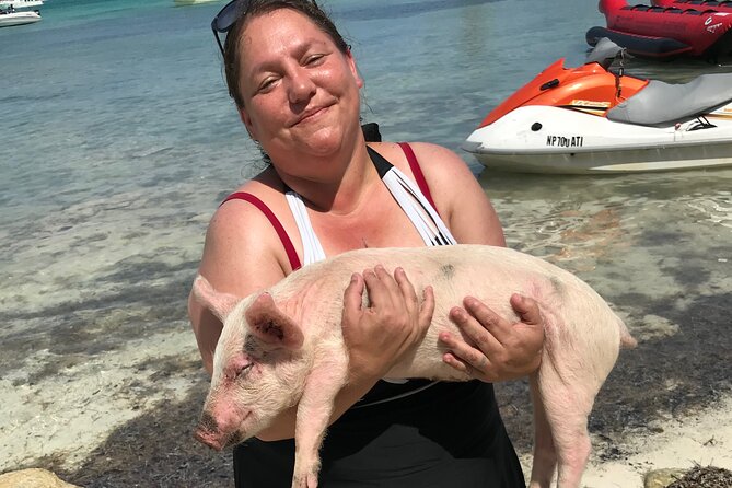 All Inclusive Swimming With The Pigs - The Nassau sightseeing angle