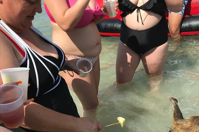 All Inclusive Swimming With The Pigs - Who should choose this experience?