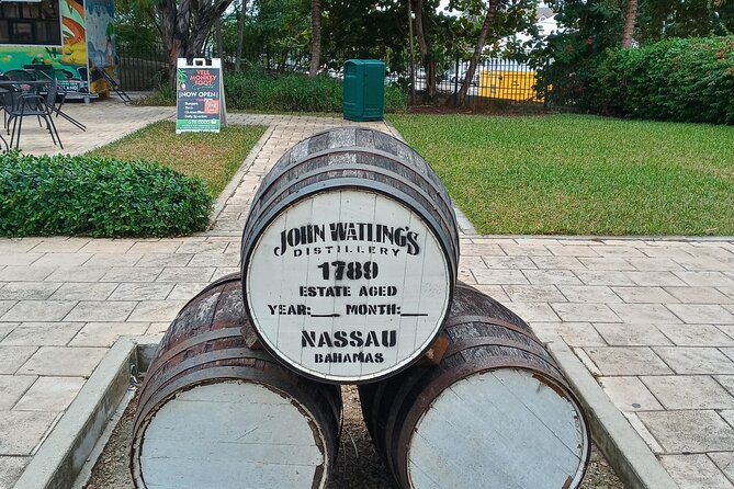 All New Tours "Bahamas Brunch" & "Signature Downtown Tour" - What the pace and group size mean