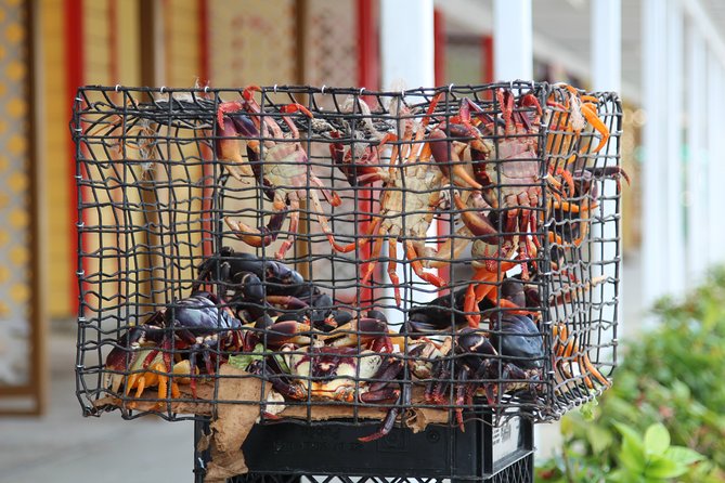 Around Town/Bahamian Cooking Experience - Why this Freeport tour works as an introduction