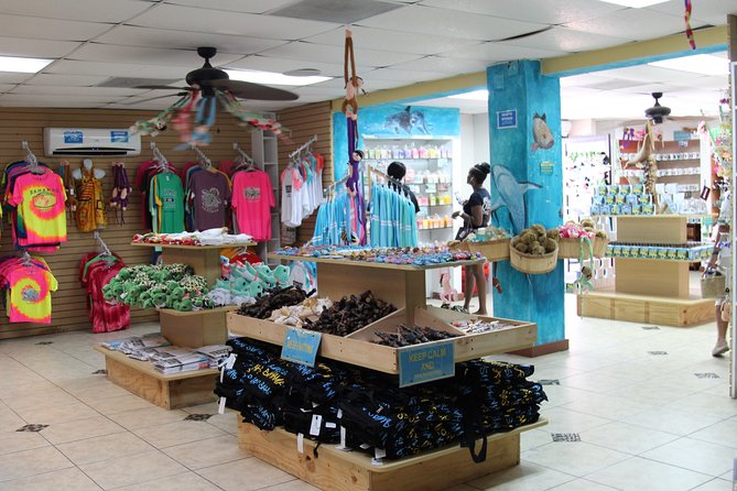 Around Town/Bahamian Cooking Experience - Who should book this experience