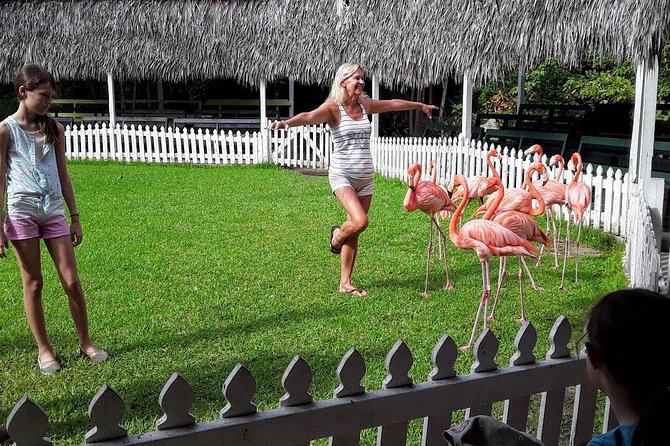 At YOUR Pace Private Tours V.I.P - Nassau, Bahamas - The human side of the guiding