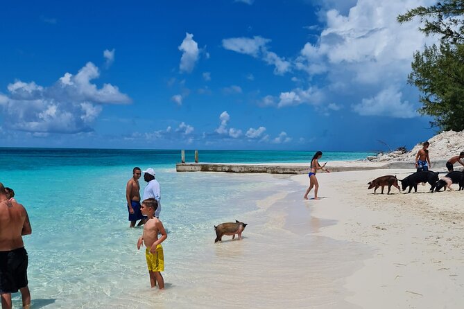 Athol Island Swimming Pigs Half-Day Boat Tour with Lunch - A full morning on the water from Nassau