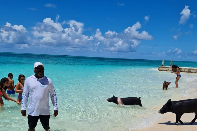 Athol Island Swimming Pigs Half-Day Boat Tour with Lunch - Green Cay brings the turtle encounter