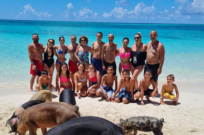 Athol Island Swimming Pigs Half-Day Boat Tour with Lunch - Is $350 per person fair value?