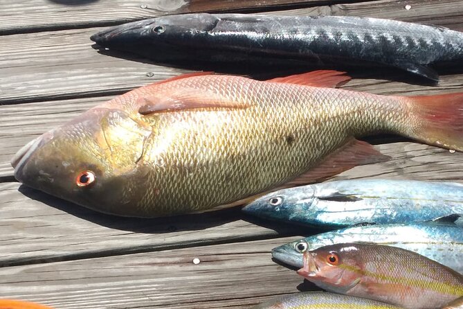 Bahamas Deep Sea Fishing - Leaving Nassau for the deep blue