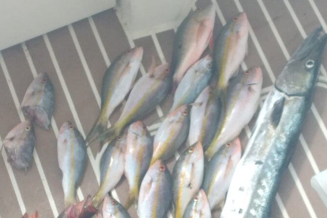 Bahamas Deep Sea Fishing - Choosing between bottom fishing and reef fishing