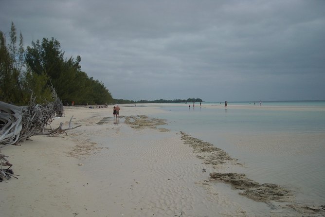 Bahamas Get-A-Round Bus Pass - The best way to plan your day