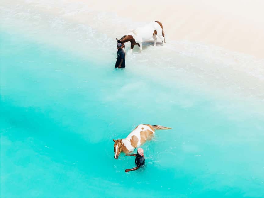 Bahamas: Nassau Horseback Riding on Beaches & Trails - From Nassau ranch to shaded woodland trails