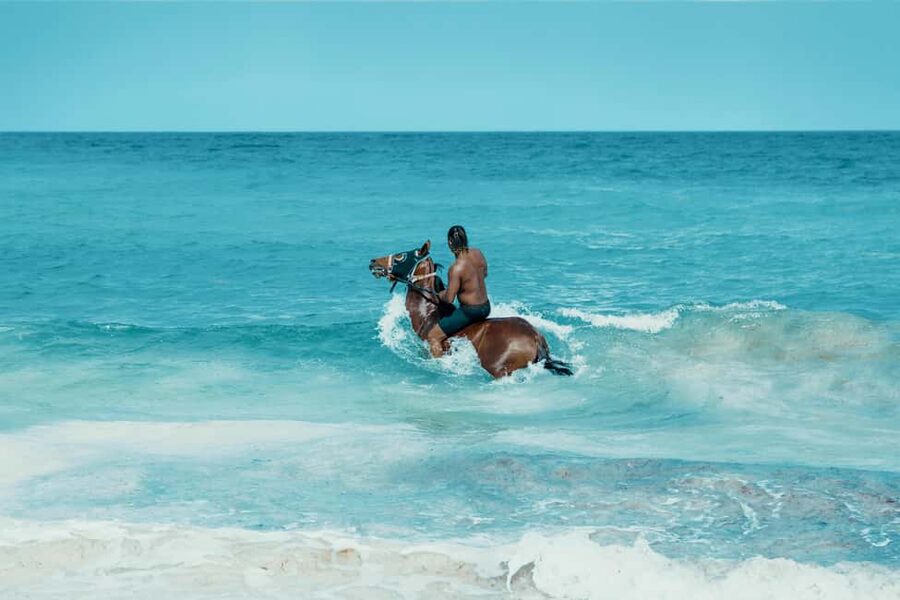 Bahamas: Nassau Horseback Riding on Beaches & Trails - Entering the shallow Caribbean Sea on horseback