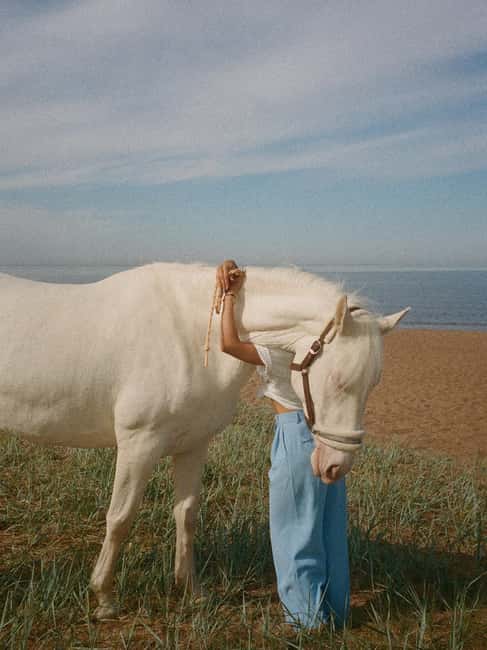 Bahamas: Nassau Horseback Riding on Beaches & Trails - What the price of $375 really buys