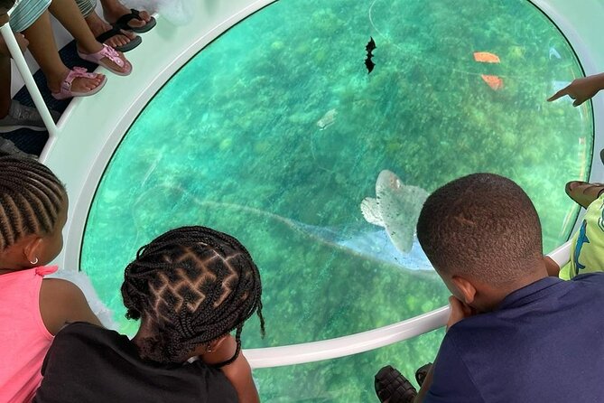 Bahamas on a Semi Submersive Glass Bottom Boat - Weather, physical demands, and who should book