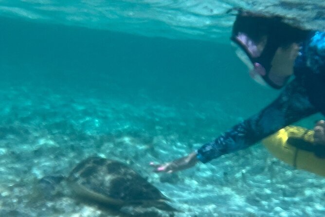 Bahamas Sea Scooter Snorkeling Adventure - Why the guide can make or break the day