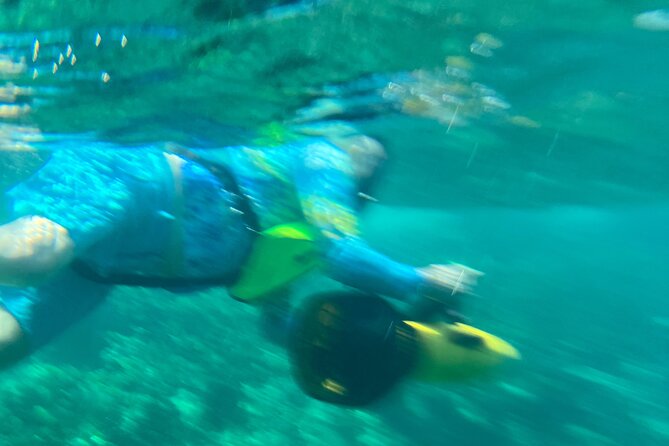 Bahamas Sea Scooter Snorkeling Adventure - The $120 price and what you receive