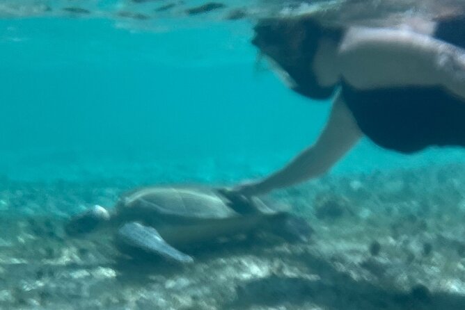 Bahamas Sea Scooter Snorkeling Adventure - Who should book, and who should think twice