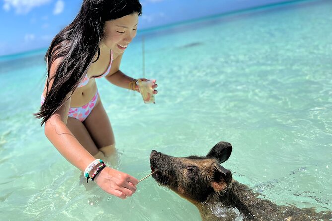 Bahamas Swimming Pigs Experience on Rose Island - Key Points Before You Book