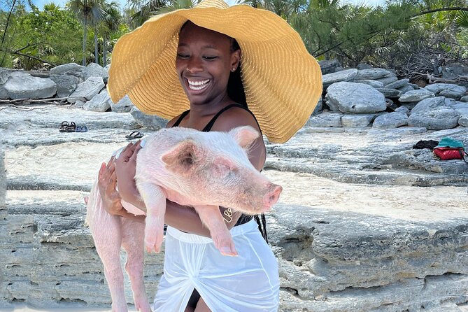 Bahamas Swimming Pigs Experience on Rose Island - What the Pig Encounter Is Really Like