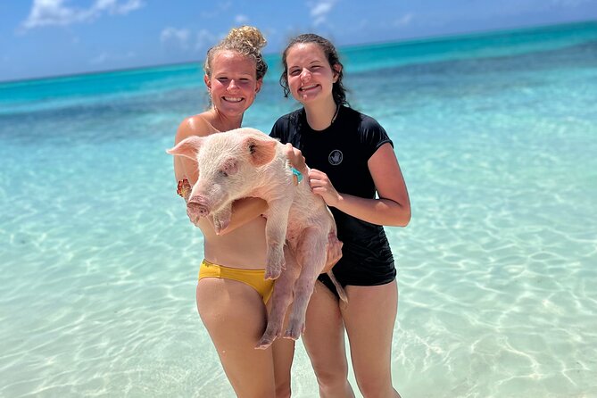 Bahamas Swimming Pigs Experience on Rose Island - Lunch Adds Real Value, With a Catch