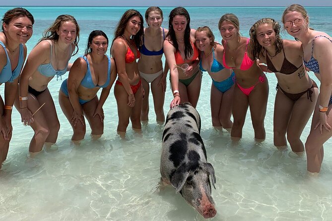Bahamas Swimming Pigs Experience on Rose Island - Staff Service Can Make or Break the Day