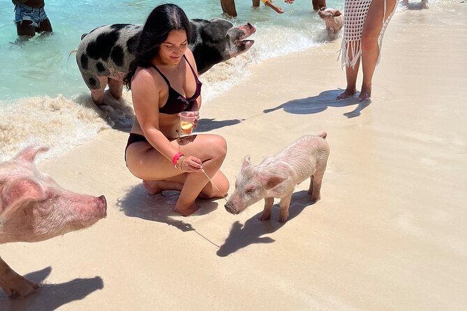 Bahamas Swimming Pigs Experience on Rose Island - Who Will Enjoy This Nassau Excursion?