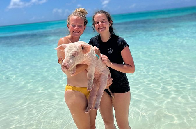 Bahamas Swimming Pigs Experience on Rose Island - Booking Tips That Matter