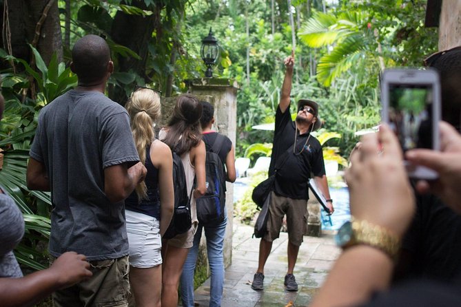 Bites of Nassau Food and Walking Tour - The Bahamian food stops and what you will eat
