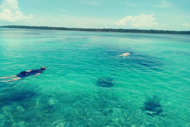 Blue hole, drift snorkeling, turtles Celebration Key is welcome - Why this tour feels different from a port excursion