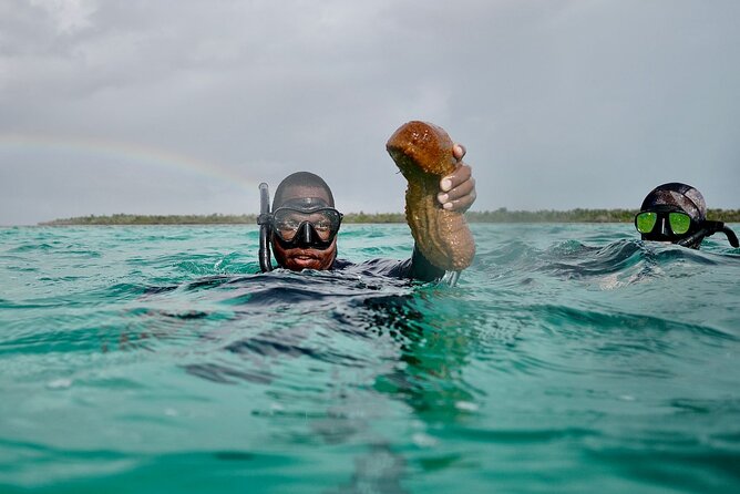 Blue hole, drift snorkeling, turtles Celebration Key is welcome - Sweetings Cay, beach time, and the food question